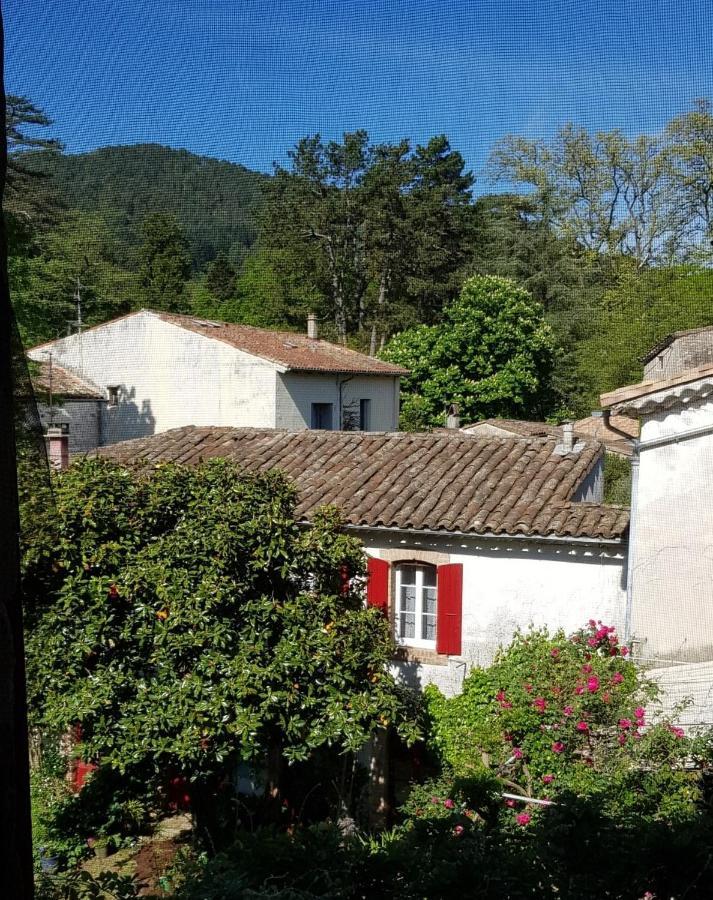 Vista Cevenol: Appartement 2 Chambres Saint-Jean-du-Gard Kültér fotó